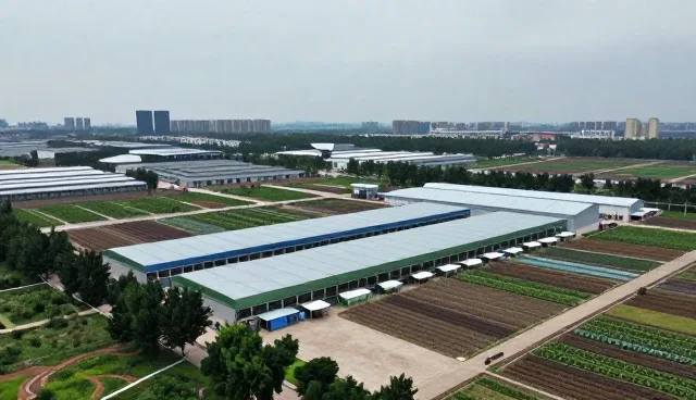 提升财税咨询效率的关键应用场景解析